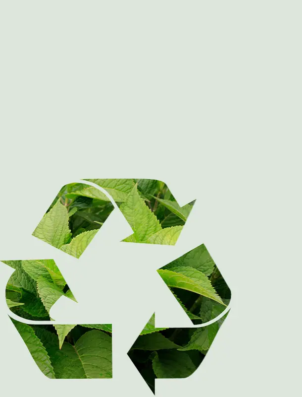 Eco-Friendly-Options-02